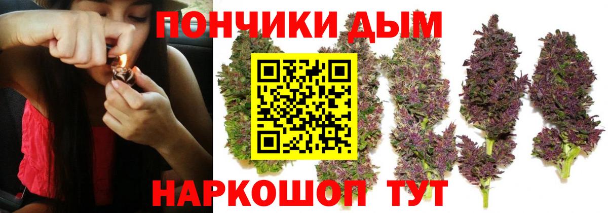 Каннабис тримм Черняховск